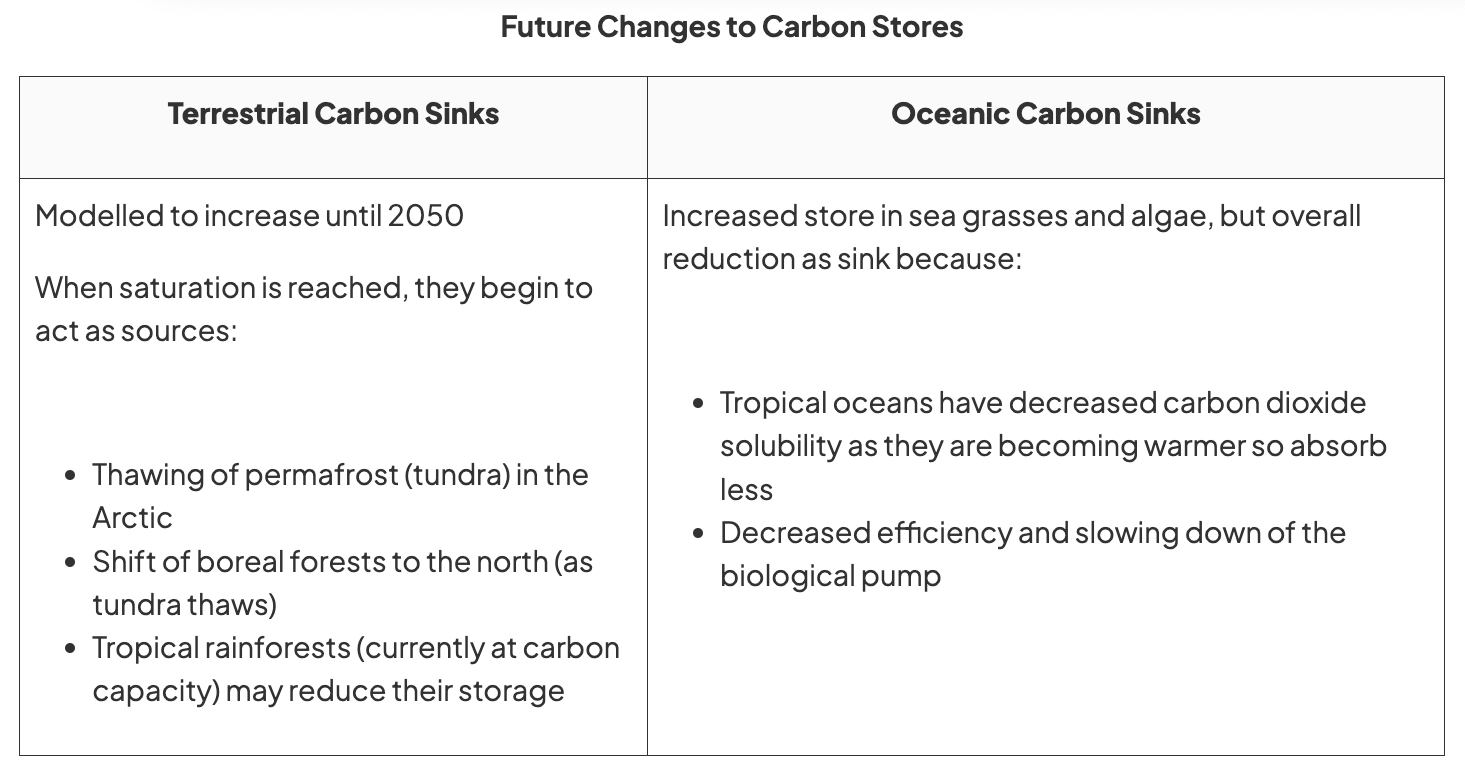 <ul><li><p>role of carbon sinks + their capacity to cope with changes</p></li><li><p>possible feedback mechanisms e.g. carbon released from peatlands + permafrost </p></li><li><p>tipping points associated with forest dieback + reversal of thermohaline circulation </p></li></ul><p></p>