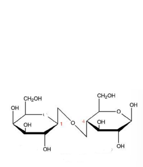 <p>What is this disaccharide? </p>