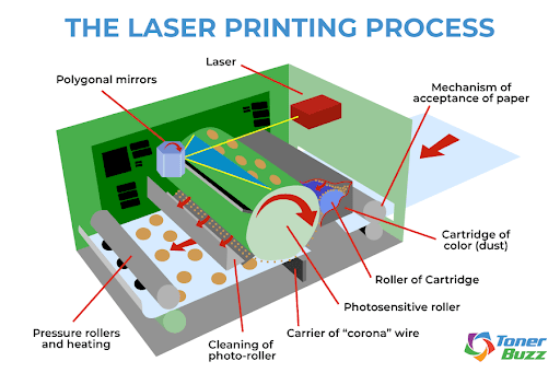 <p>Include Imaging Drum, Fuser Assembly, Transfer Belt, Pickup Roller, and Separation Pad. </p>