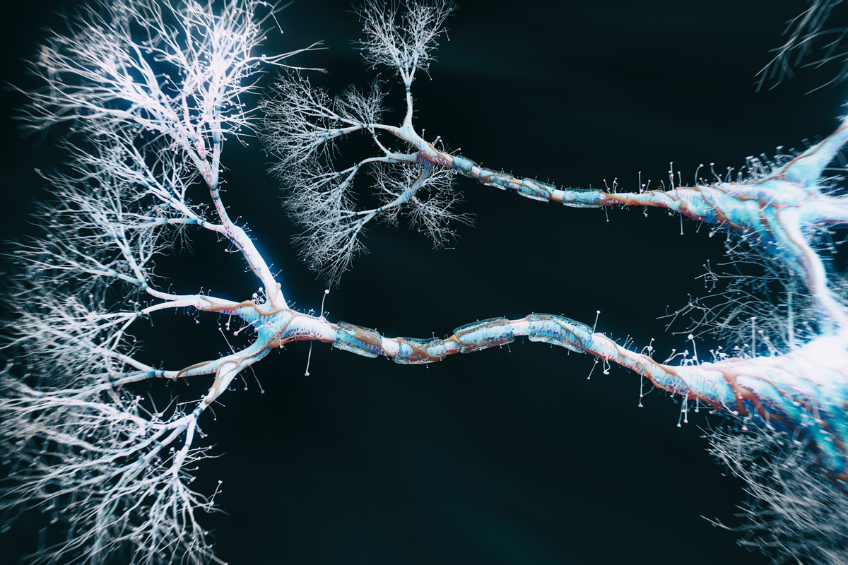 <p>a neuron’s bushy branching extension that receives messages and conducts impulses toward the cell body (Like alien fingers)</p>