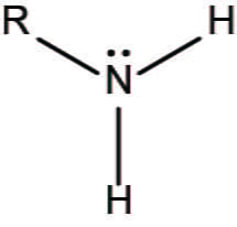 <p>-NH<sub>2</sub> (amine) (base)</p>