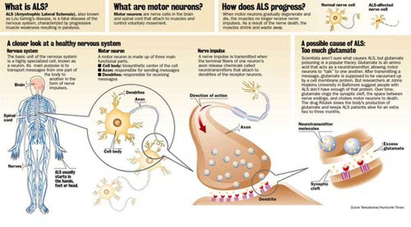 <p>What: LMN and UMN disorder that causes ultimately respiratory failure and death within 3-5 years</p><p>Clinical Presentation</p><p>-Hyporeflexia and hyperreflexia</p><p>-Fasciculations</p><p>-Pseudo-bulbar affect</p><p>-respiratory weakness</p><p>-frontotemporal dementia</p><p>-cognitive impairments</p><p>-behavioral impairments</p><p>-Clinical sign- cervical extensor weakness</p>