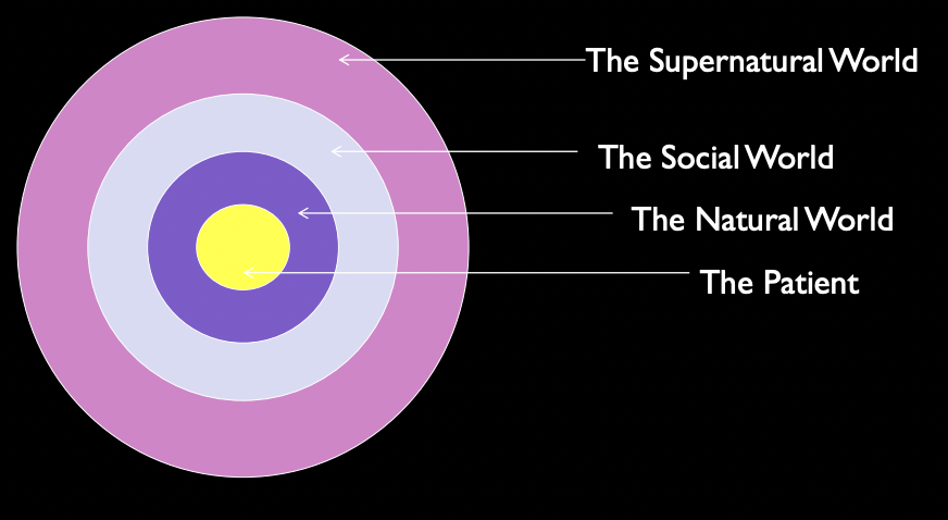 inherited (heart disease) or emotional susceptivity (depression)