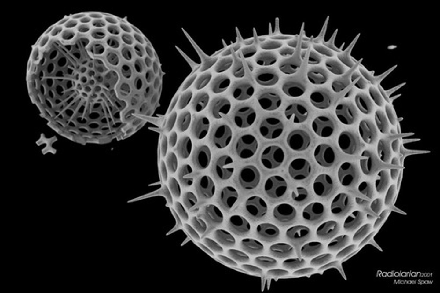 <p>looks like golf ball ( see through)</p>