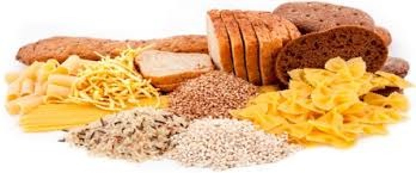 <p>carbohydrate</p>