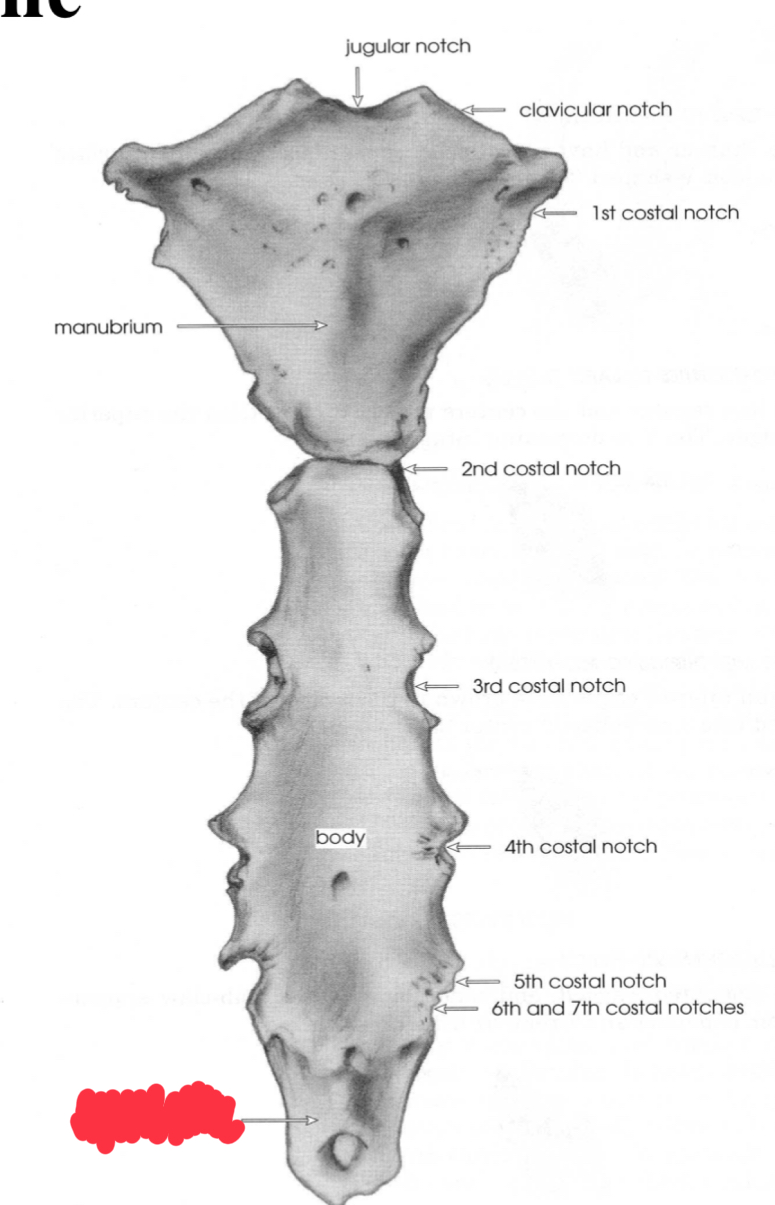 <p>What is this structure?</p>