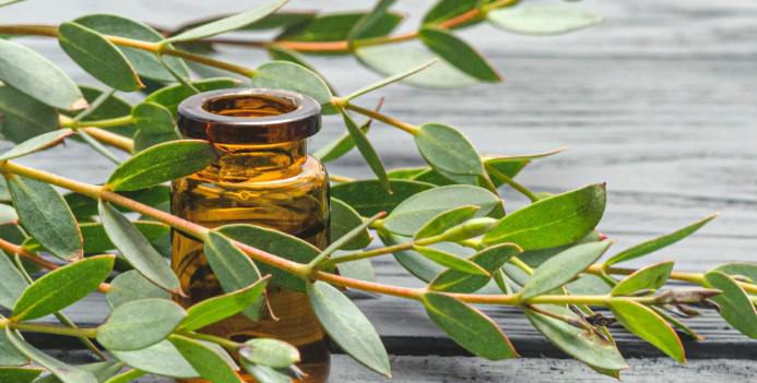 <ul><li><p><strong>Cooling, refreshing blend</strong>: peppermint oil brings a tingly, revitalizing sensation</p></li><li><p><strong>Eucalyptus oil:</strong> soothes tired muscles</p></li><li><p><strong>Lemongrass oil:</strong> uplifting, citrusy-herb note</p></li></ul><p></p>