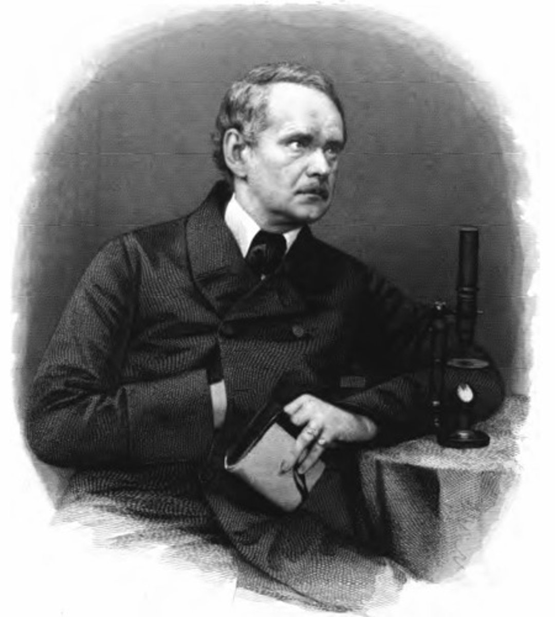 <p>He studied plants. He looked at lots of plants under the microscope; their leaves, flowers, roots and stems. He decided that "All plants are made of cells".</p>