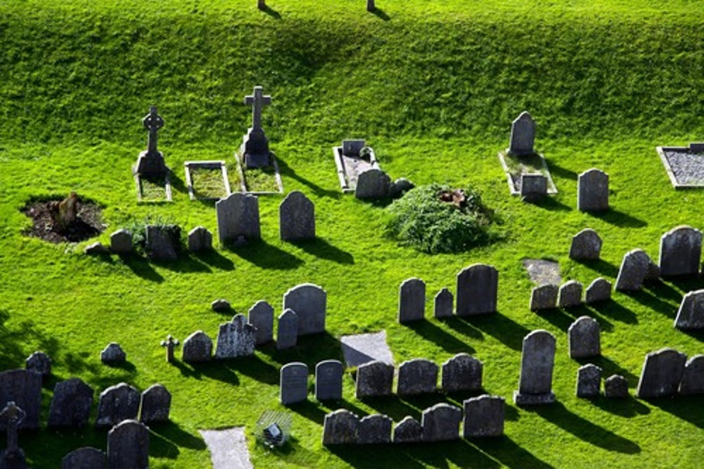 <p>cemetery</p>