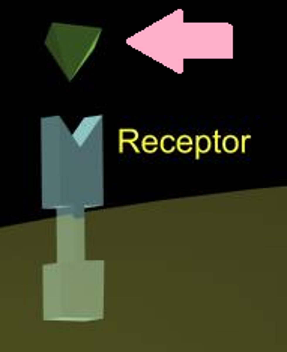 <p>A molecule that binds specifically to a receptor site of another molecule.</p>