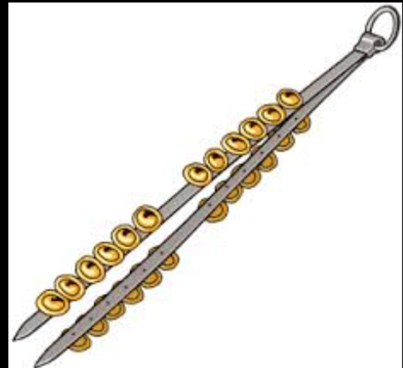 <p>metal idiophone with discs attached used to accompany bhangra</p>