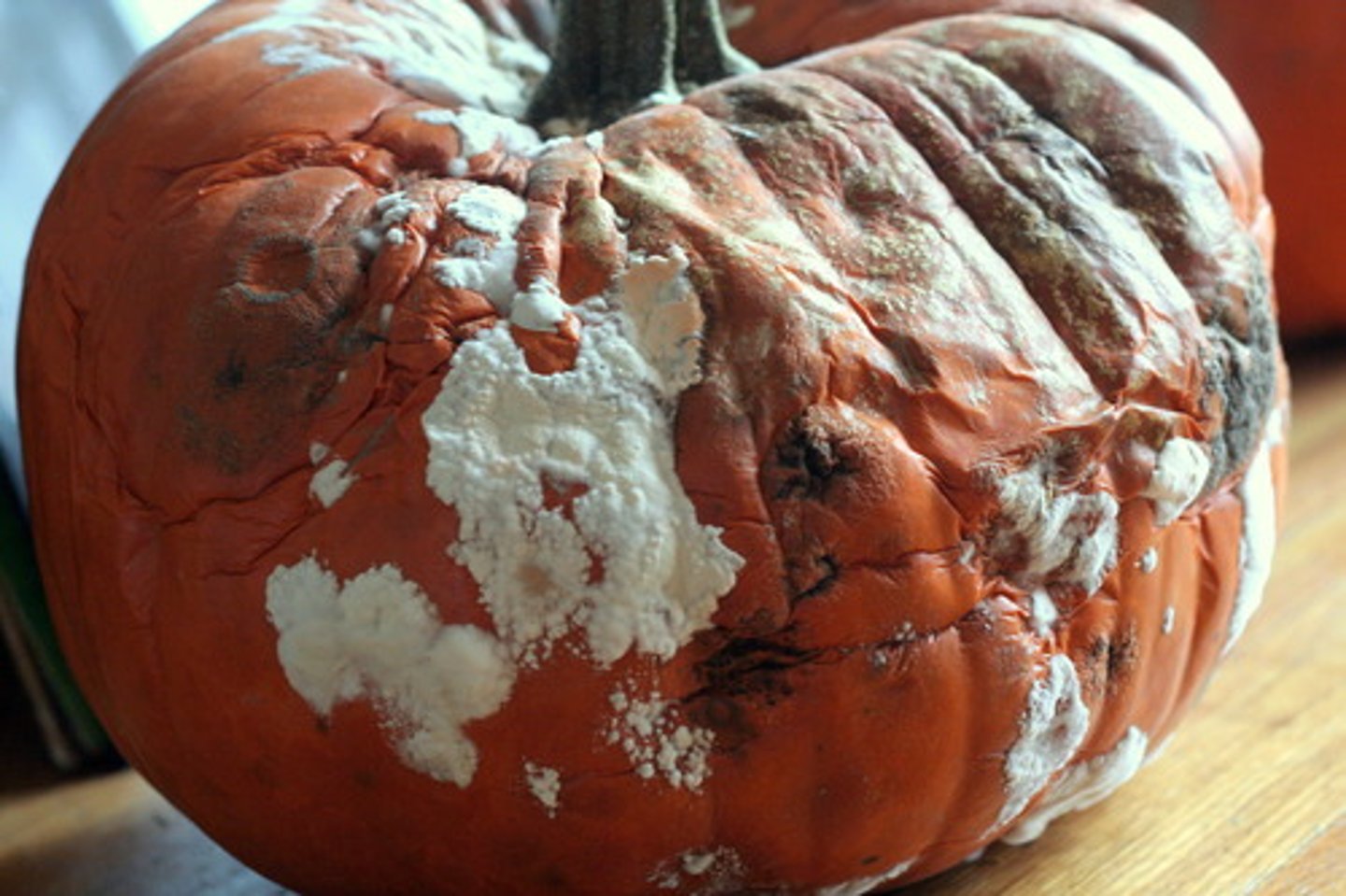 <p>slowly decay or disintegrate, especially because of neglect</p>