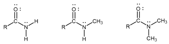 <p>contains a nitrogen atom connected to the carbon atom of a carbonyl group</p>