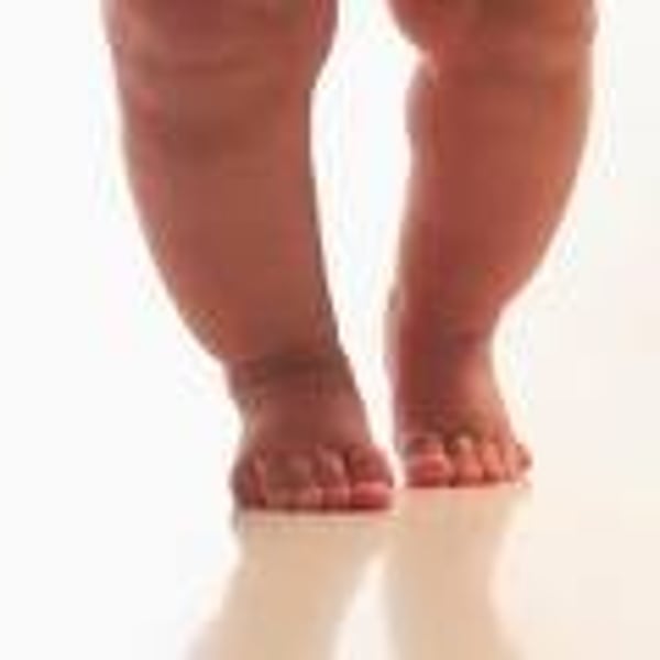<p>leg</p>