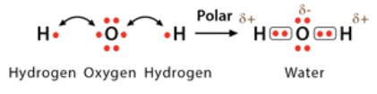 <p>electrons are <strong>unequally</strong> shared between two atoms which causes one atom to be slightly <strong>negative</strong>, and one to be slightly <strong>positive</strong></p>