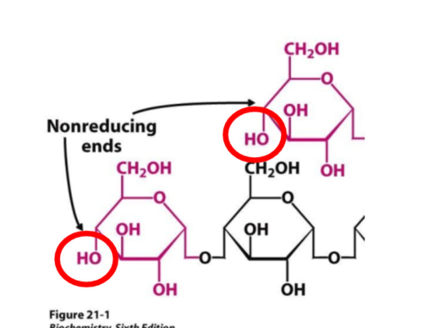 <p>Non-reducing ends, NOT</p>