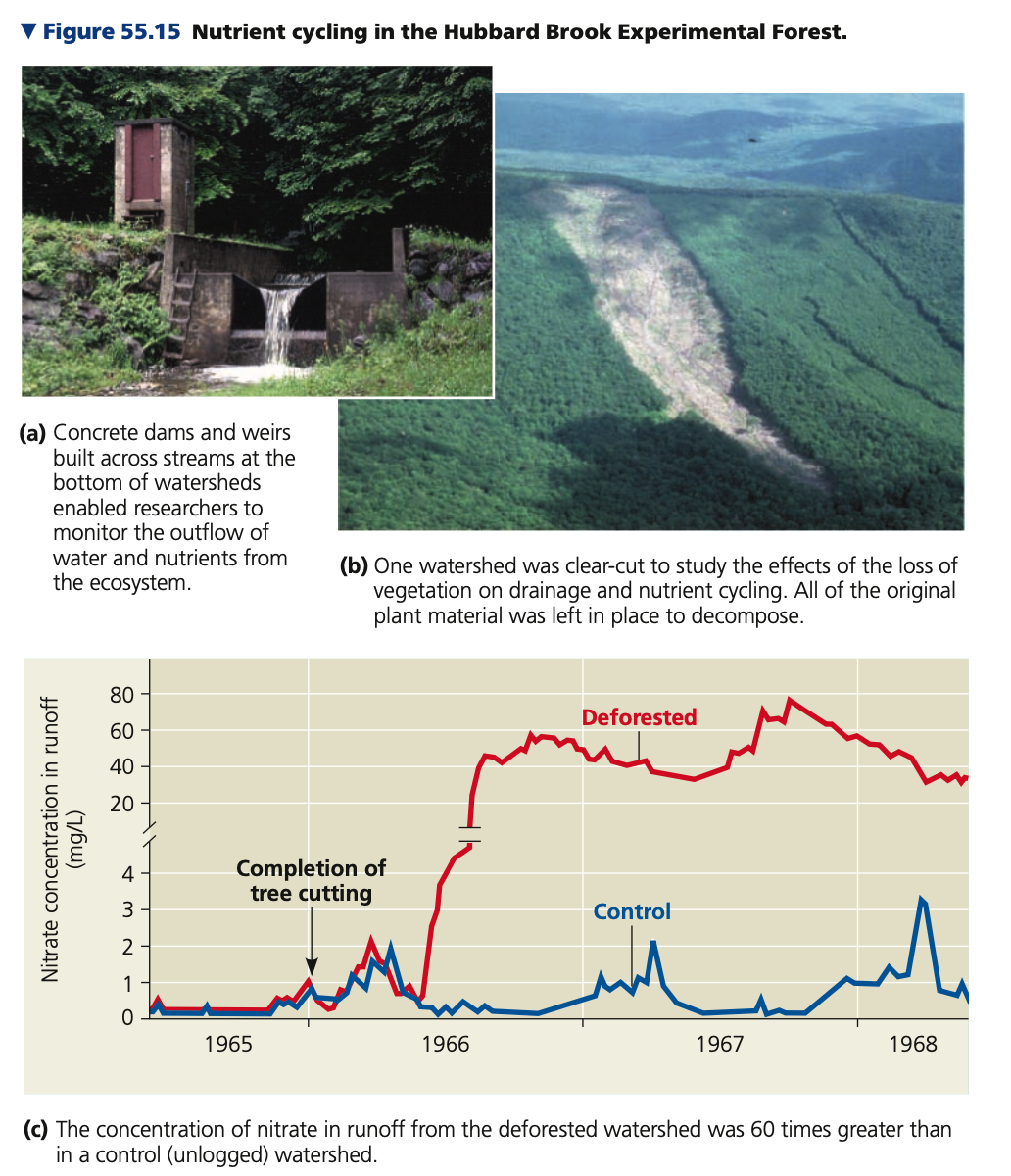 Restoration ecologists
● Ecosystems recover naturally from disturbances
○ May take centuries especially if humans have degraded the environment
■ Tropical areas cleared for ______ are unproductive because of nutrient loss
■ _____ activities abandon lands in a degraded state
■ ___ build up in soil from irrigation
■ Toxic chemicals or __ spills