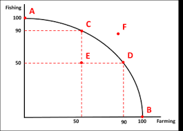 <p>Wastage of resources, so economy will be within the PPF, at point E.</p><p>AD will shift leftwards, due to lower consumption, due to lower incomes.</p>