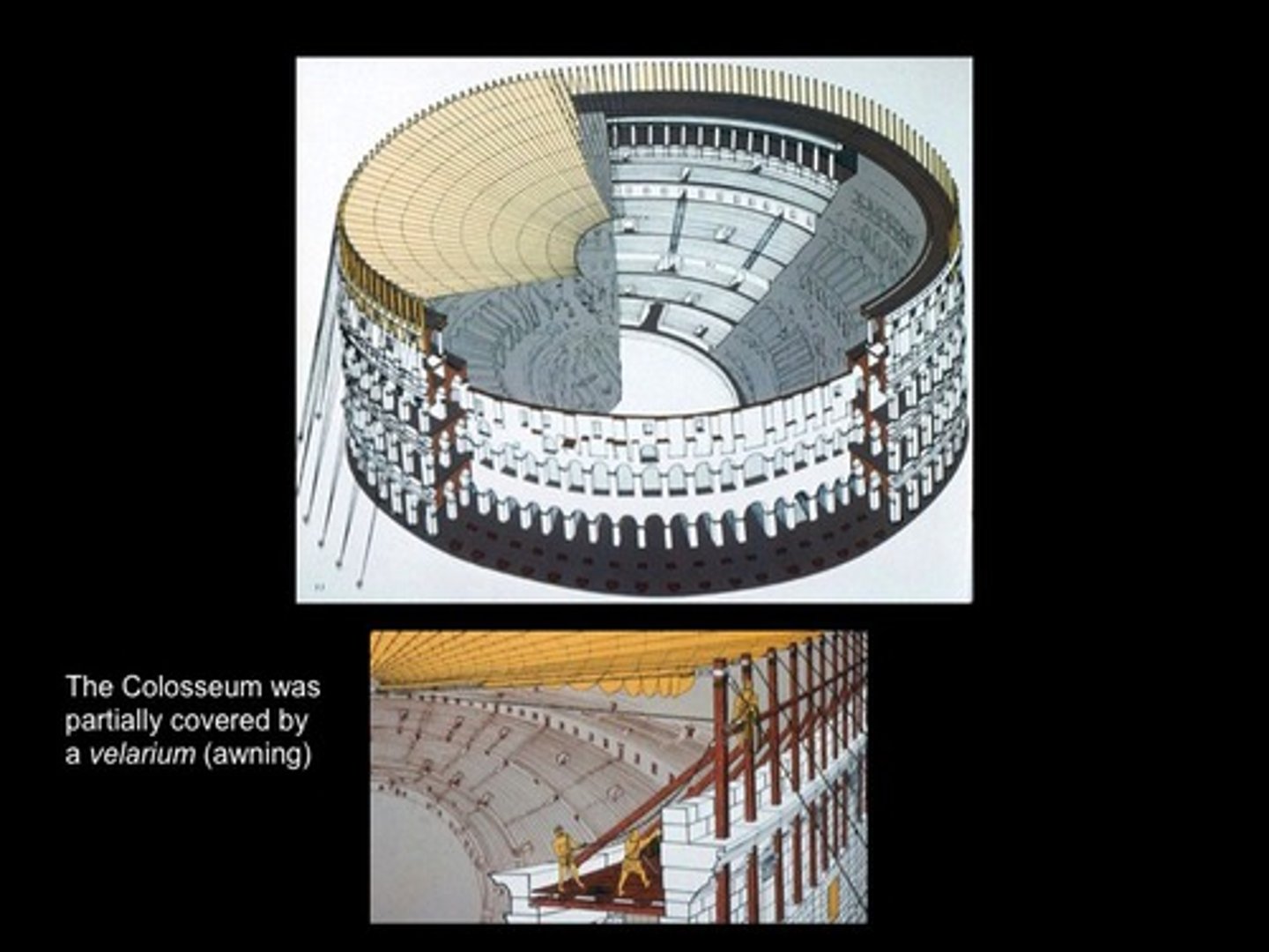 <p>In a Roman amphitheater, the cloth awning that could be rolled down from the top to shield spectators from sun or rain.</p>