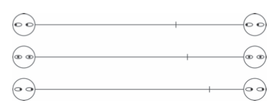Line bisection task