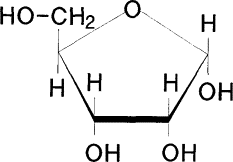 <p>sugar in RNA </p><p>OH (hydroxyl) group attached to the 2nd carbon</p>