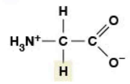<p>Nonpolar (Hydrophobic)</p>