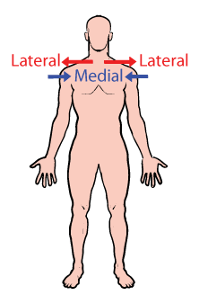 <p>Closer to the midline of the body vs. further from the midline of the body</p>