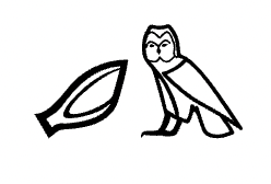 term image