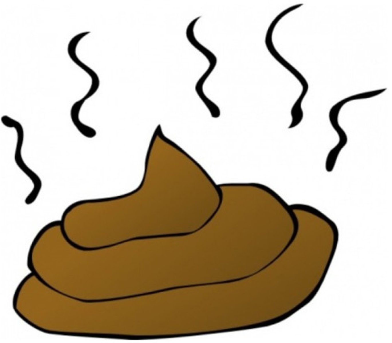 <p>evacuación, deposición, defecación, movimiento intestinal</p>