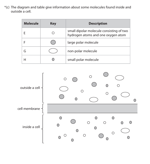 <p>Explain why each of these molecules enters the cell by a different mechanism. Use the information in the table and the diagram to support your answer. (6)</p>