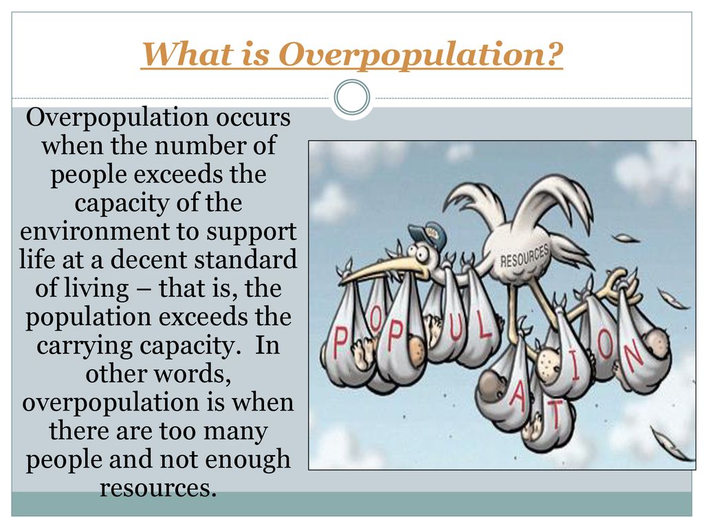 <p>Overpopulation</p>