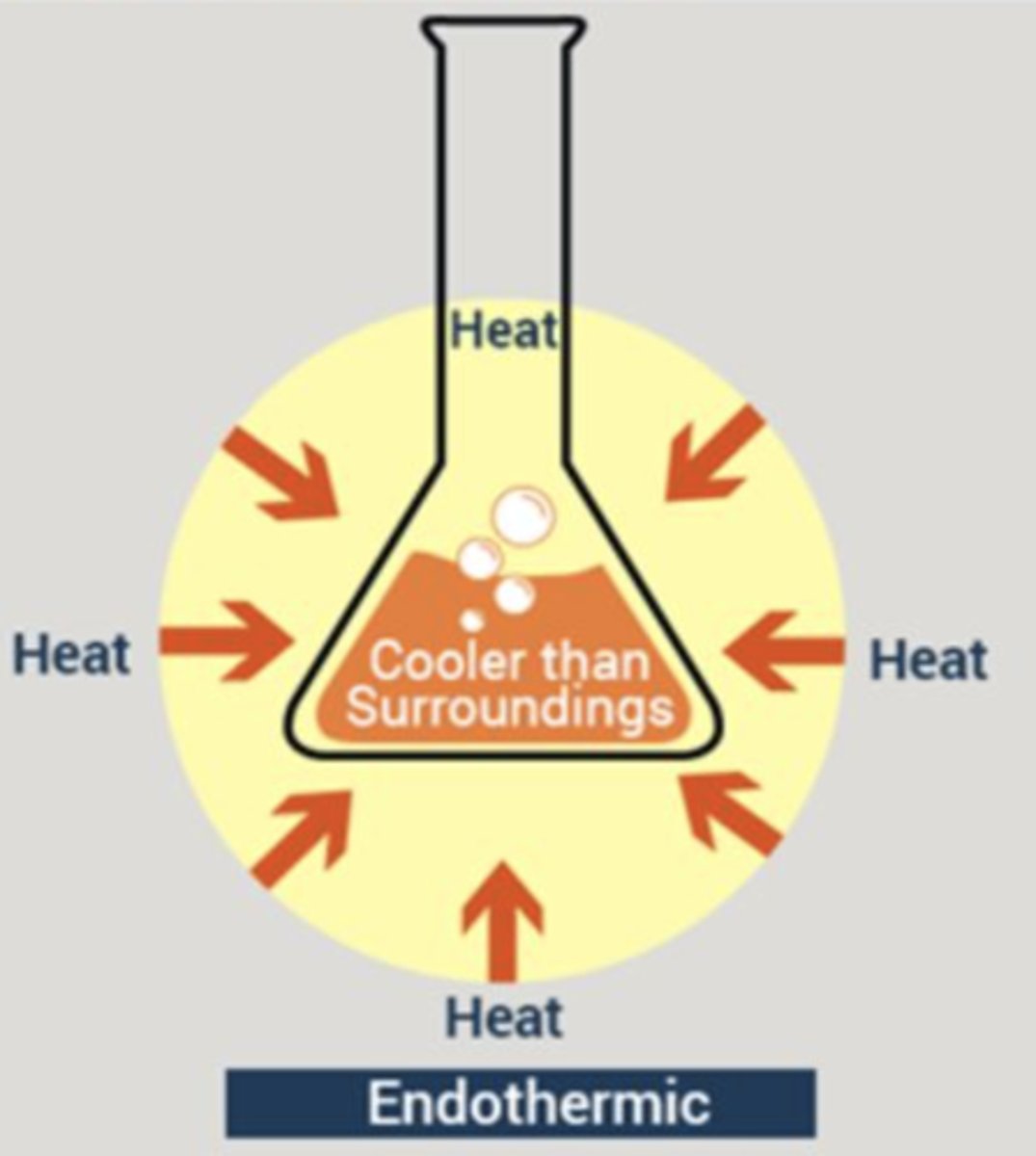 <p>Absorbs heat</p>