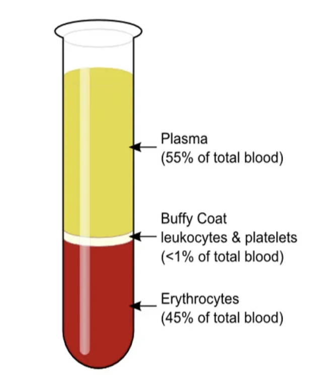 <p>plasma and cellular components </p>
