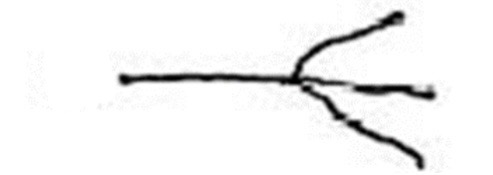 <p>Which ridge line is this?</p>