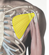 <p>What is this?&nbsp;</p>