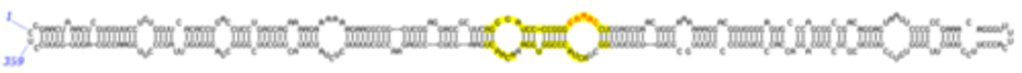 <p>viroids</p><p>(Note: even smaller</p><p>than viruses)</p>