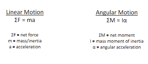 Equation of Motion