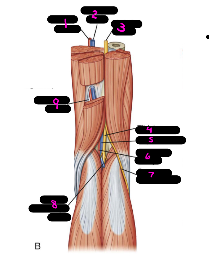 <p>5</p>