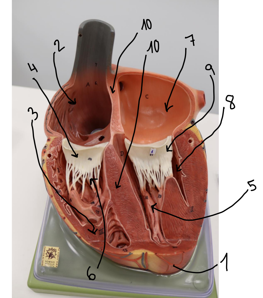 <p>4?</p>