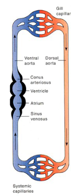 <p>2</p>