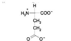 <p>What NT is this?</p>