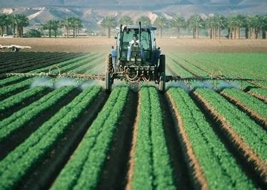 <p>Industrialized agriculture</p>