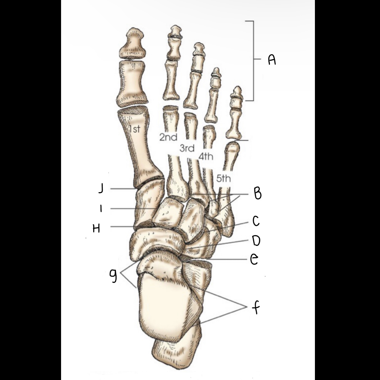 <p>What is letter G printing to?</p>