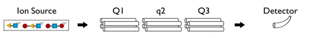 <p>for these general steps</p><p>precursor ion scan - what is allowed through Q1? what is q2? what does Q3 do?</p><p>what is chromatogram and mass spec and what does it show?</p>