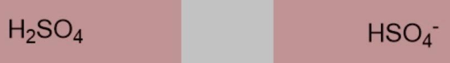 <p>Sulfuric acid, Hydrogen sulfate ion</p>