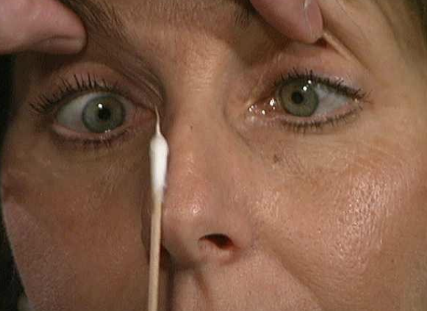 <p>How to test <strong><em>13. Accommodation of pupils</em>?</strong></p>