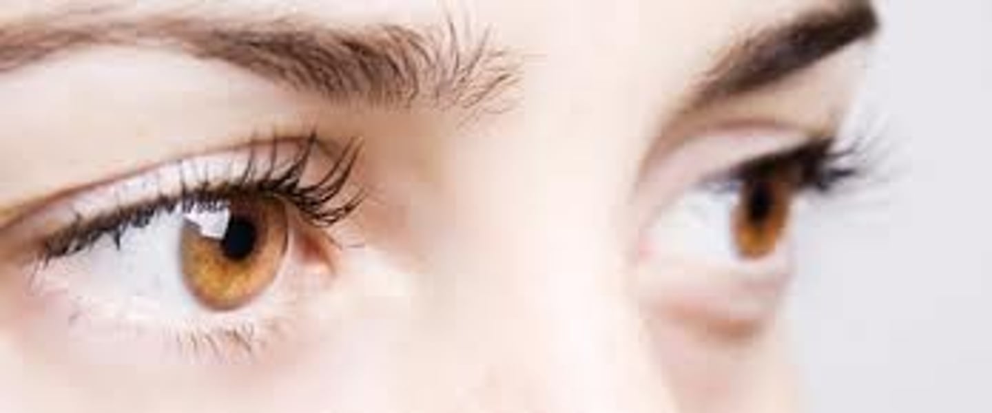 <p>eyes</p>