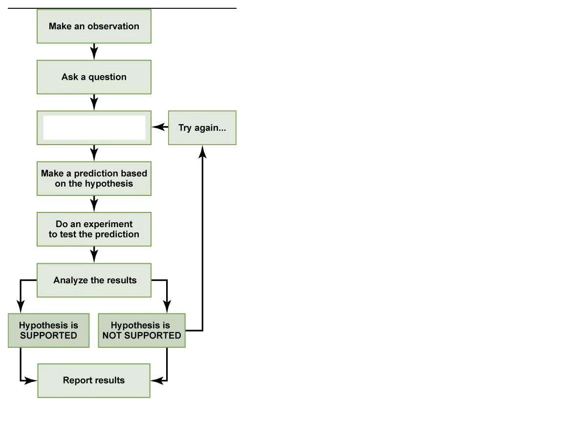 <p>What step is this in the scientific method?</p>