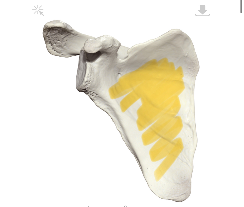 <p>Hoe heet dit deel</p>