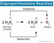 <p>This is where a single substance is both oxidised and reduced</p>
